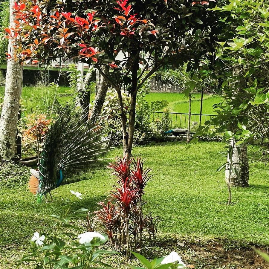 קנדי Surveyor'S Residence Bungalow מראה חיצוני תמונה
